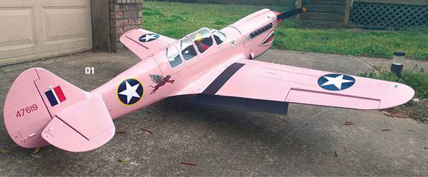  When the P-40 was completely put together, the pink really stood out. 