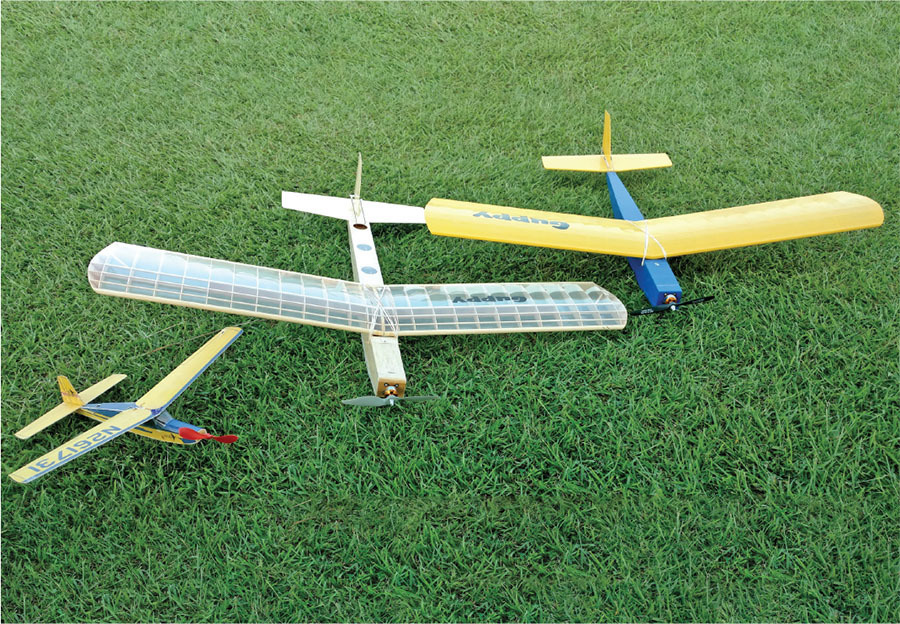 Doug Smith designed the Guppy as a simple yet robust primary RC flight trainer. 