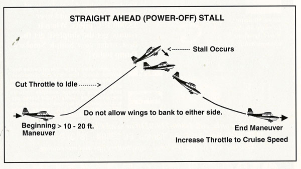 A straight-ahead (power-off) stall. 
