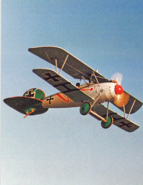 Dick Hansen’s Proctor Albatros on an overhead flyby. This is one World War I aircraft that has good wind penetration. 